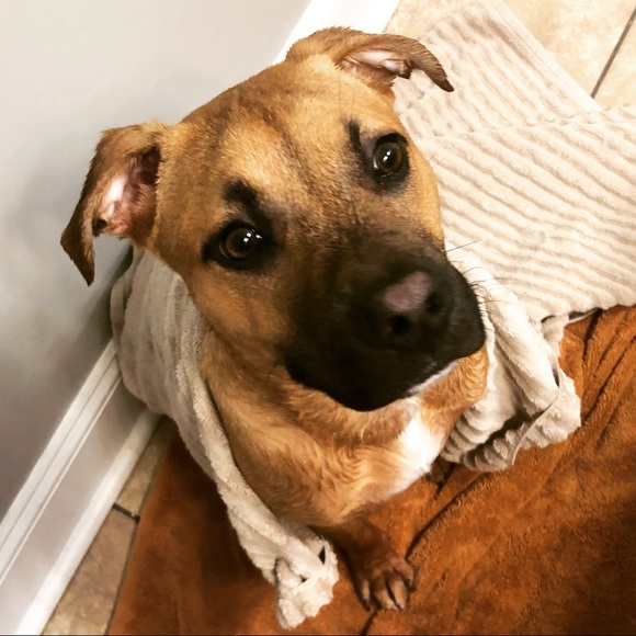 Meet your Posher, Brittaney - Picture 1 of 1